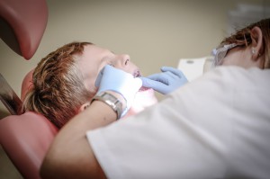 dentist-428646
